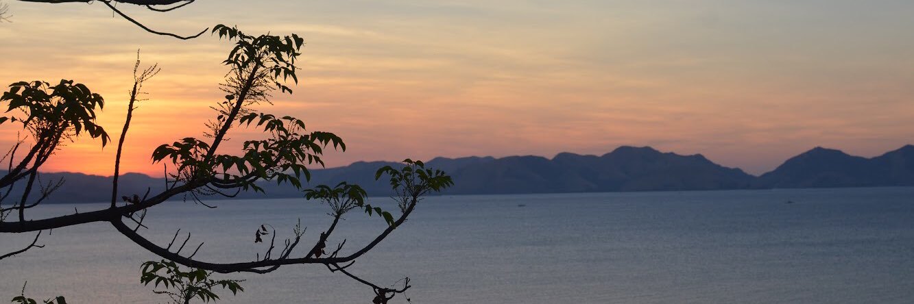 ethomson15's profile banner image