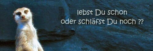 DanielaStephan's profile banner image