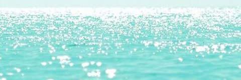 PaoulaScore's profile banner image