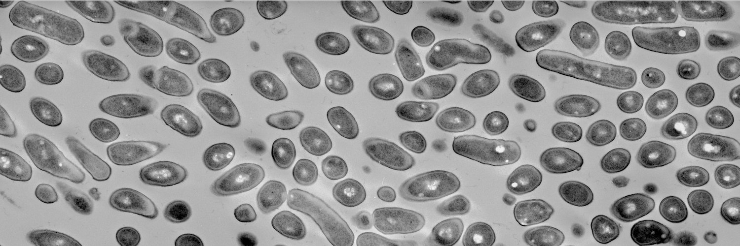 JBacteriology Eds banner