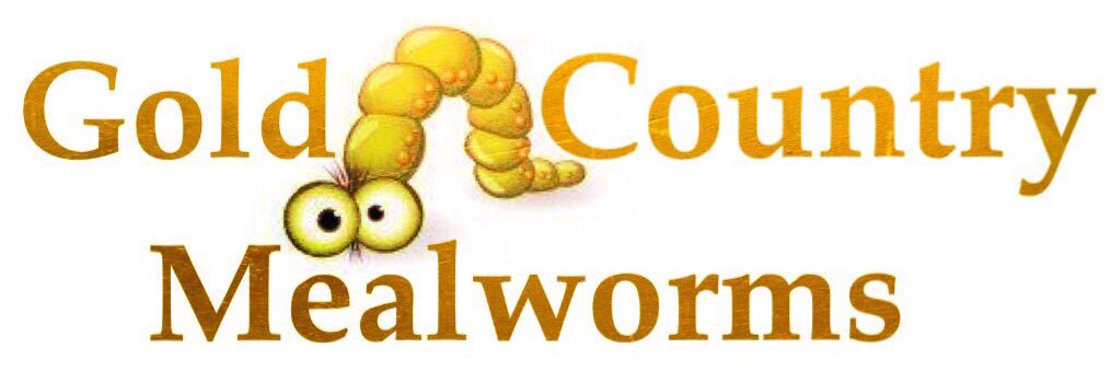 GCMealworms's profile banner image