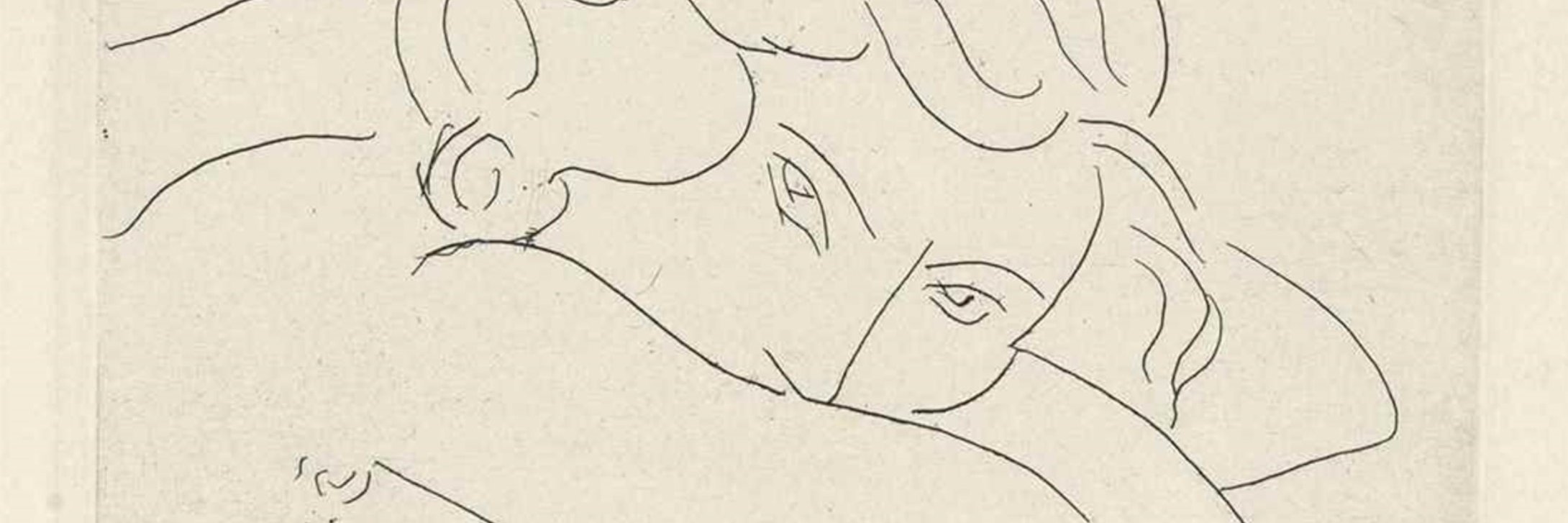 estherveitch's profile banner image