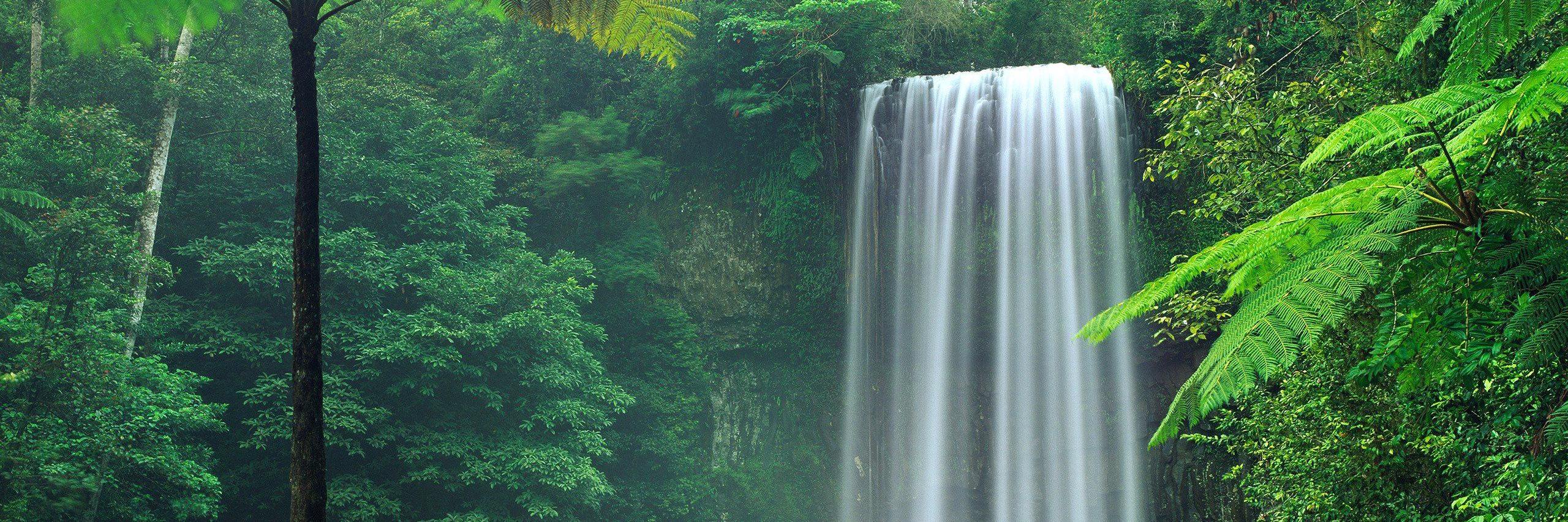 Nipuna Weerasinghe (නිපුන වීරසිංහ) banner