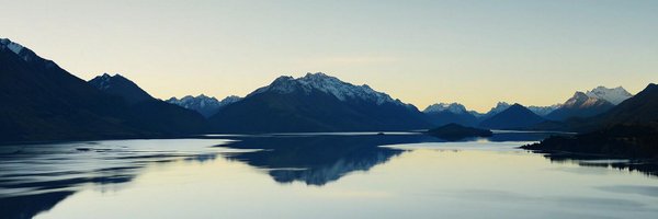 seinsights Profile Banner