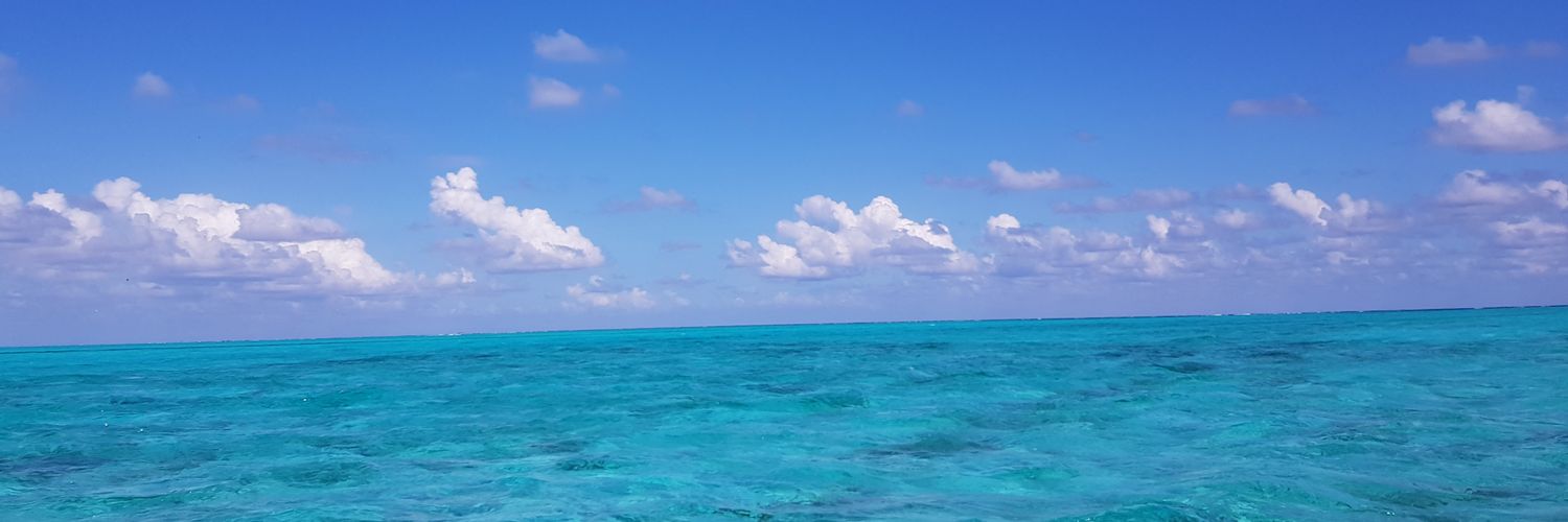 Luisis1989's profile banner image