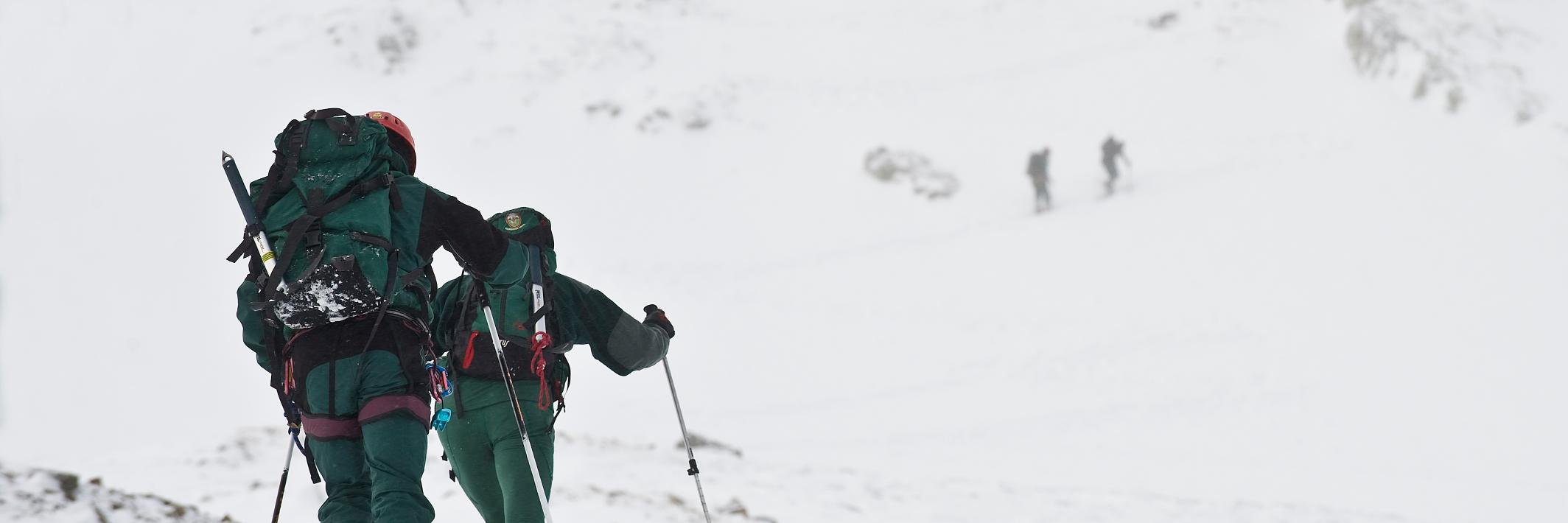 opcgcalava's profile banner image