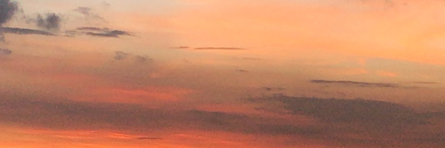 Margarita Fontecha banner