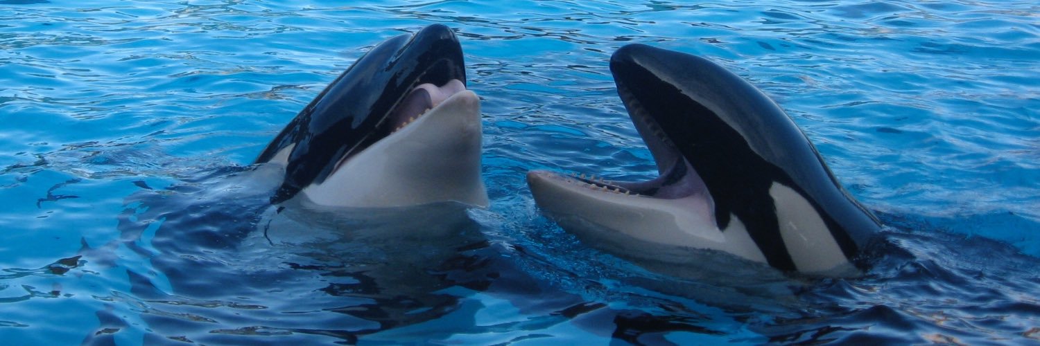 SeaWorldBenM's profile banner image