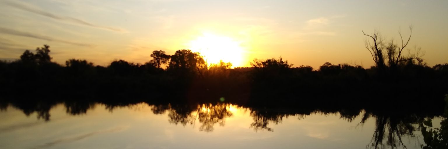 Solibruzera's profile banner image