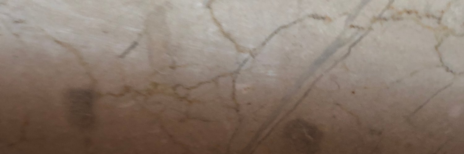 Parker__Frisbee's profile banner image