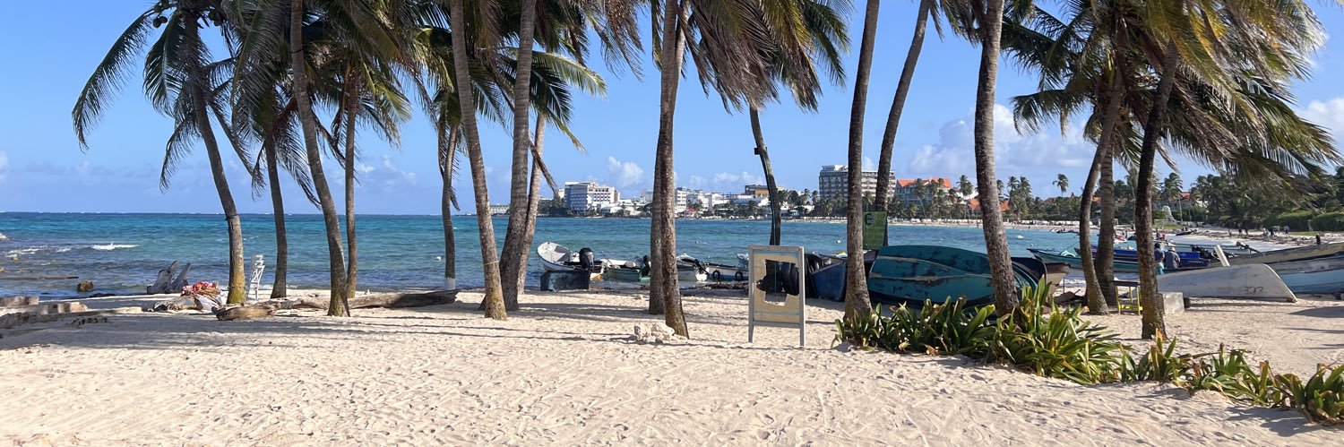 Elizabeth Taylor Jay banner