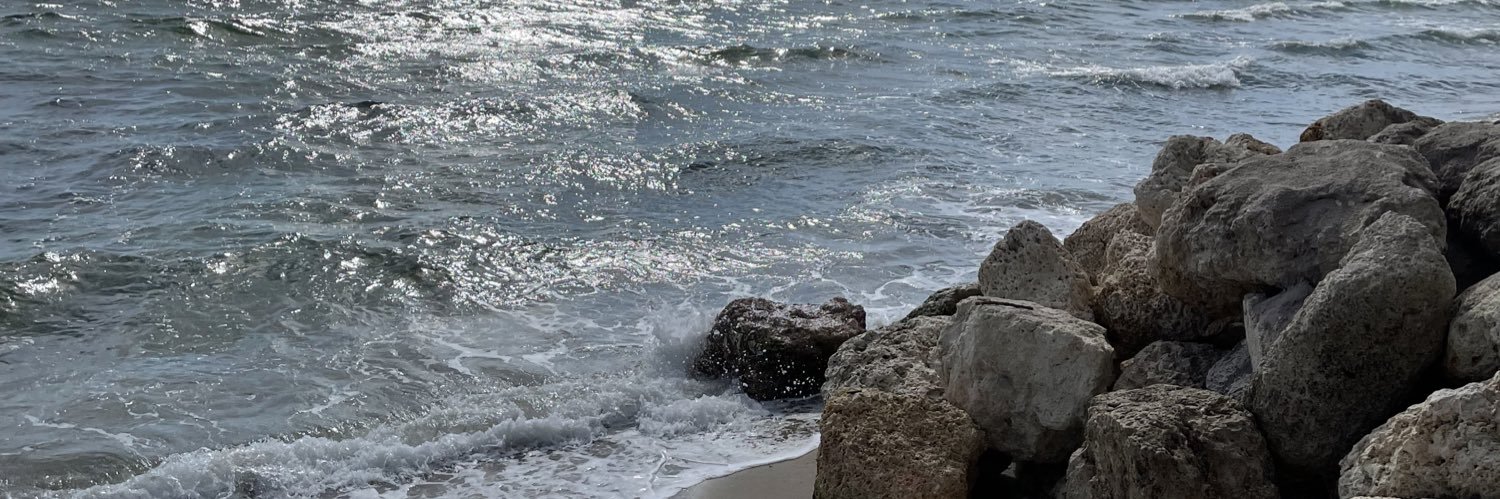 coverbri's profile banner image