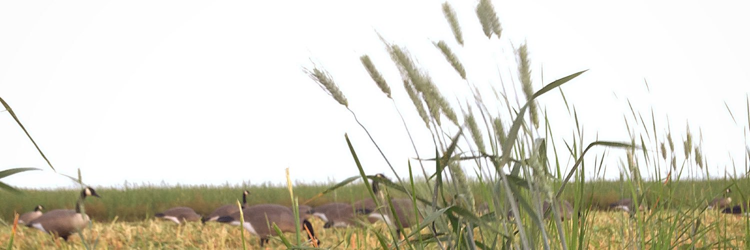 austinshaffer94's profile banner image