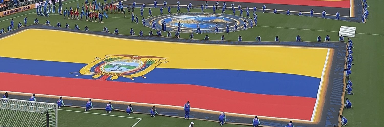 pin8ldu's profile banner image
