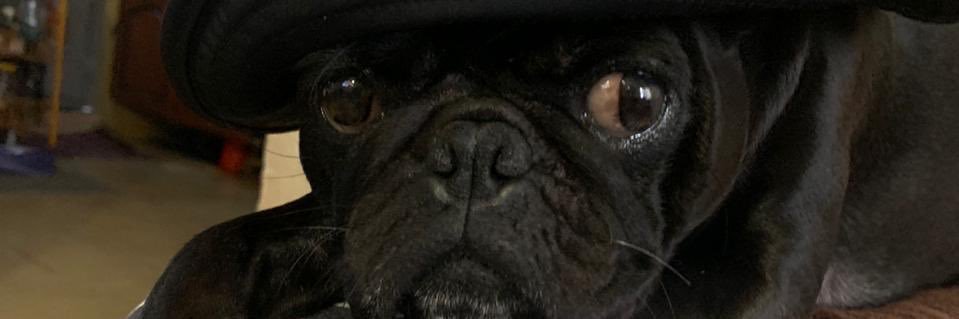 marifergf15's profile banner image
