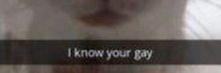 𝕿𝖍𝖊 𝕸𝖆𝖌𝖔™ banner