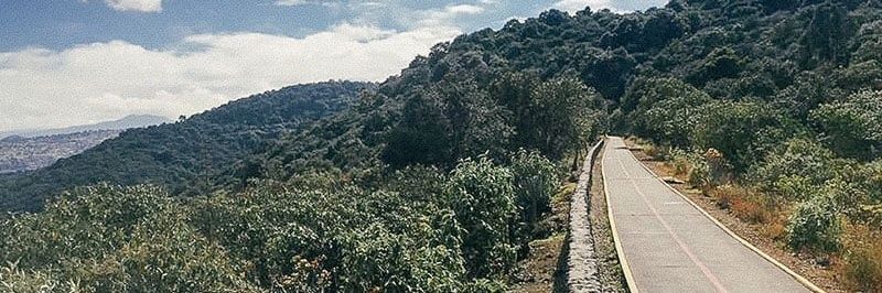 Erick Barrera 🏃⚡🚶⚡ banner