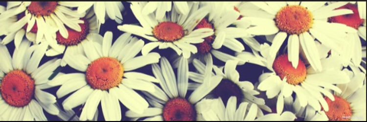 madisongordon23's profile banner image