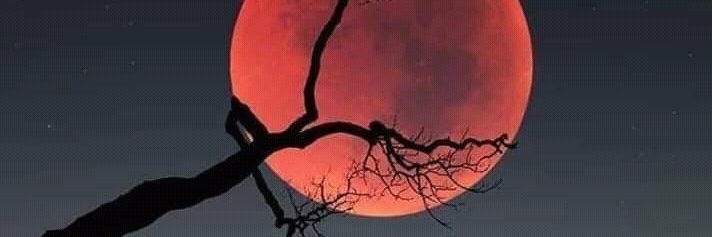 Yoha_Arias22's profile banner image