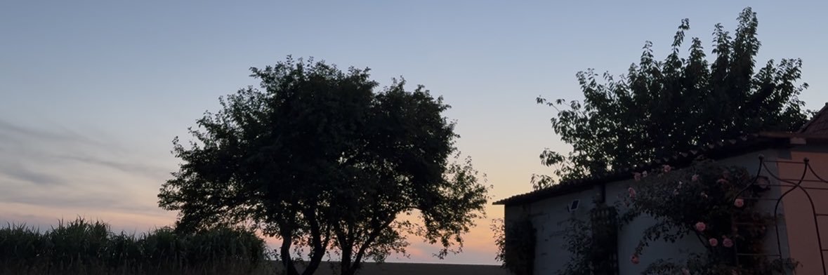 Patricia Ninian banner