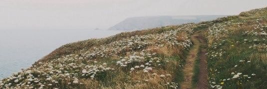 ashleyperry27's profile banner image