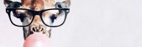 sofiamits's profile banner image