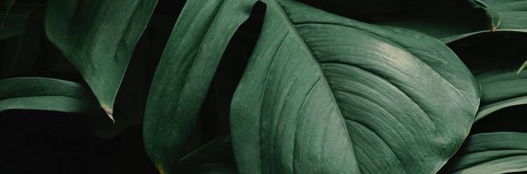 eunicebserrano's profile banner image