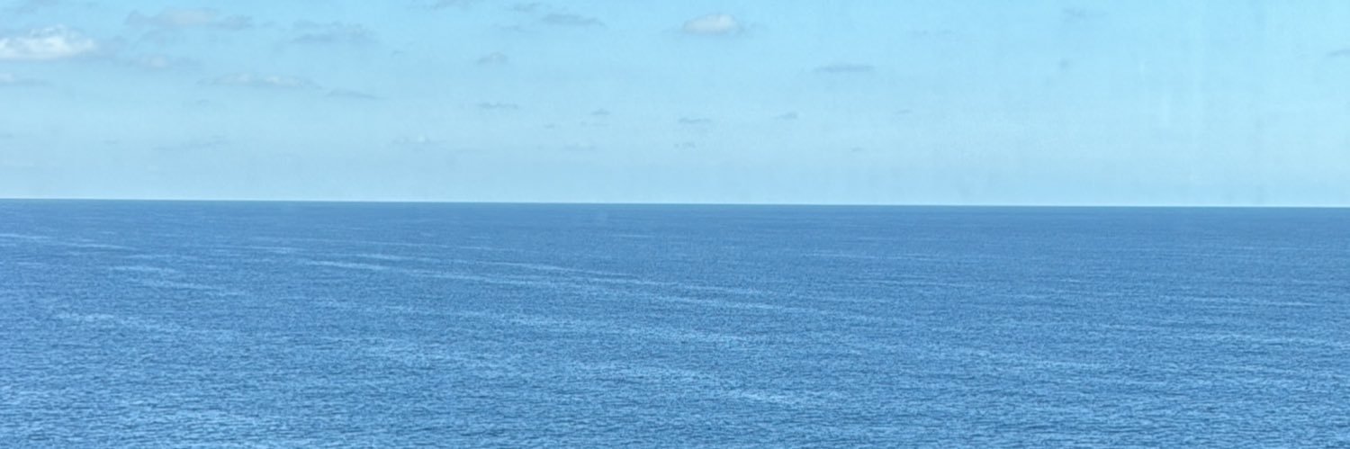 LiLiLees's profile banner image