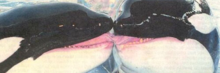 sentientturd's profile banner image