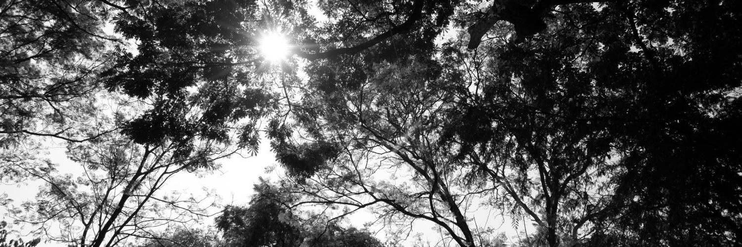implern_'s profile banner image