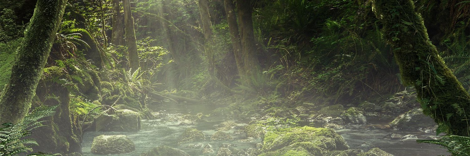 Antoine "bLk`" Précigout 🦖 🦕 banner