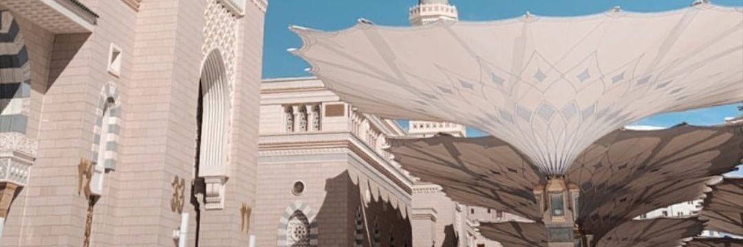 meyliandr's profile banner image