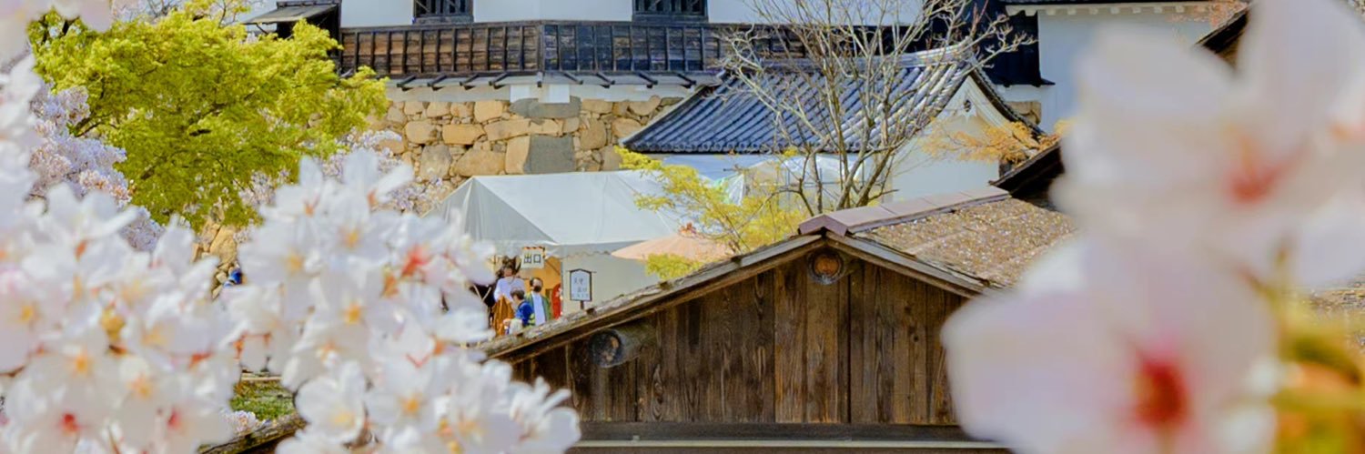 東京干电池 的个人资料封面
