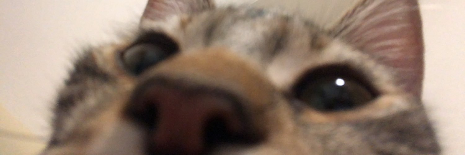 Marvel & Maçka banner