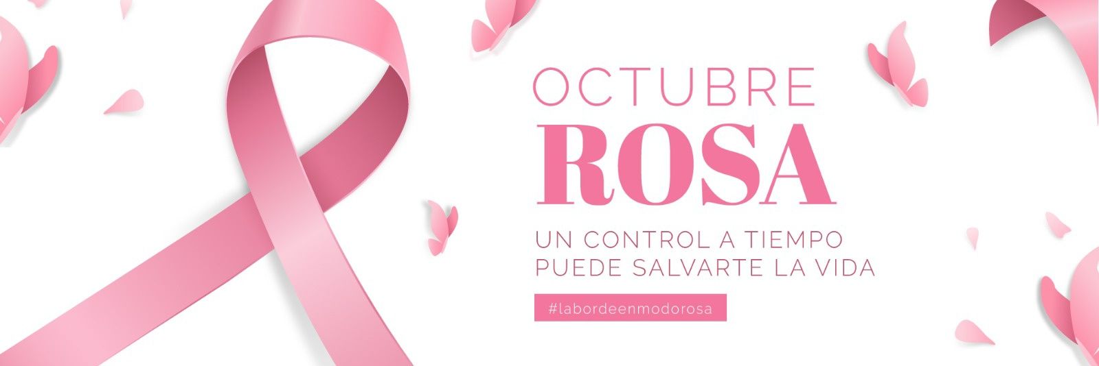 munilaborde's profile banner image
