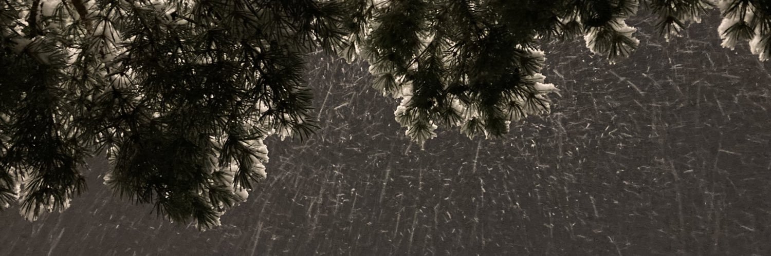 Pears_on_Fire's profile banner image