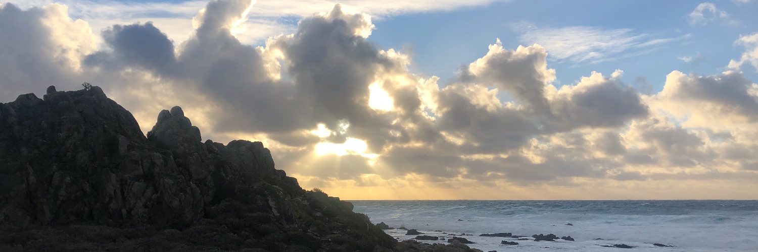 Natalie Cummings banner