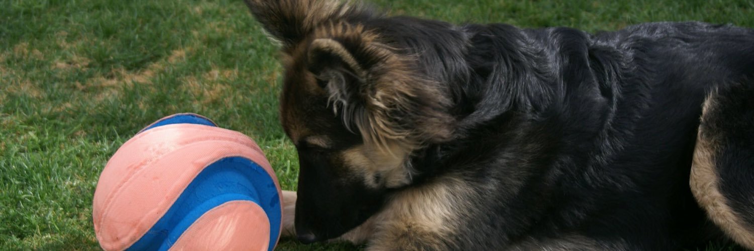 JWeyka's profile banner image