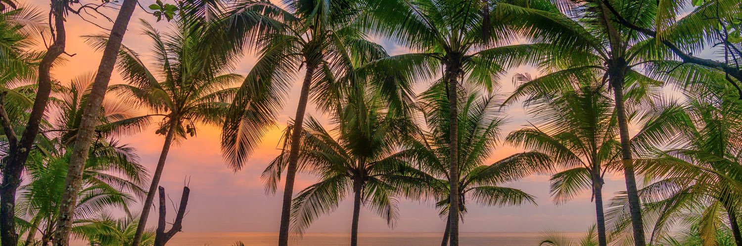 Kymani_561's profile banner image