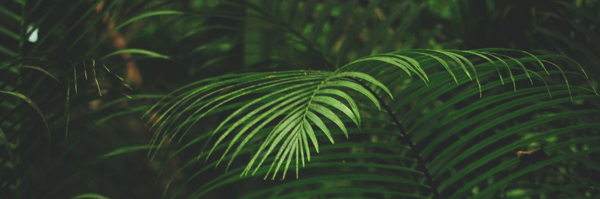_uhrcea's profile banner image
