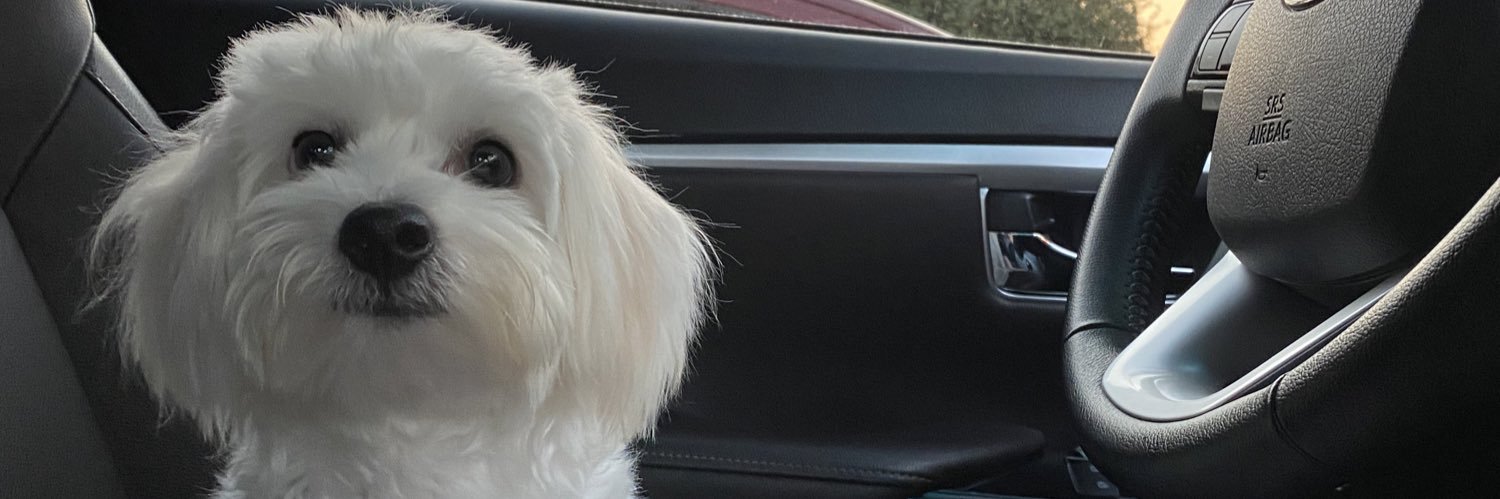 nicoleyeun's profile banner image