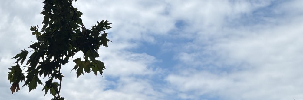 FahdahOB's profile banner image