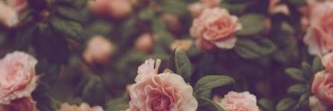Danna_Scott44's profile banner image