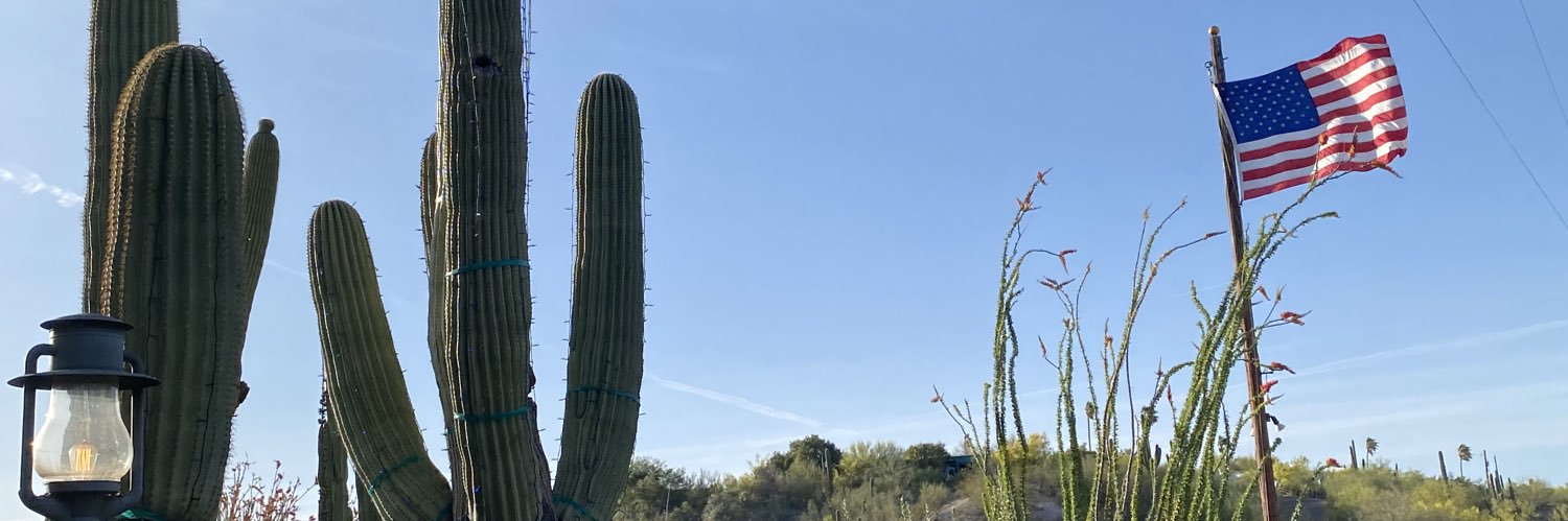 maringouin banner