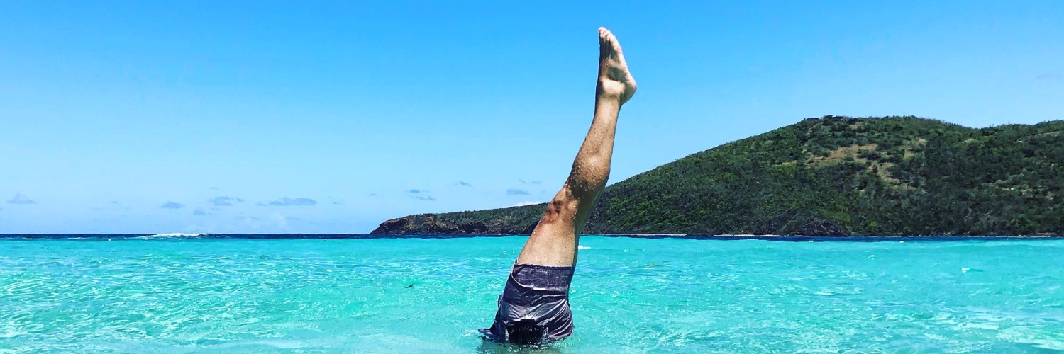 Sovereign Intel banner