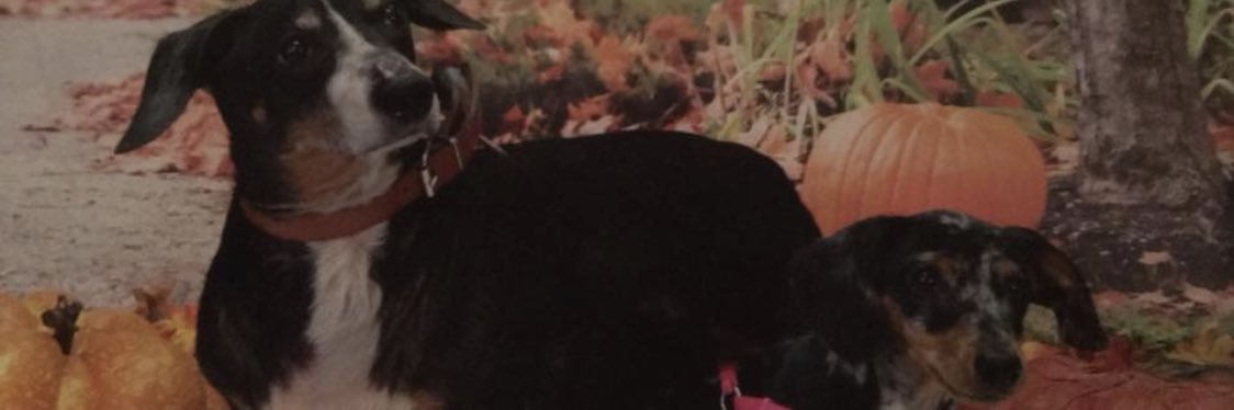 LP_21's profile banner image