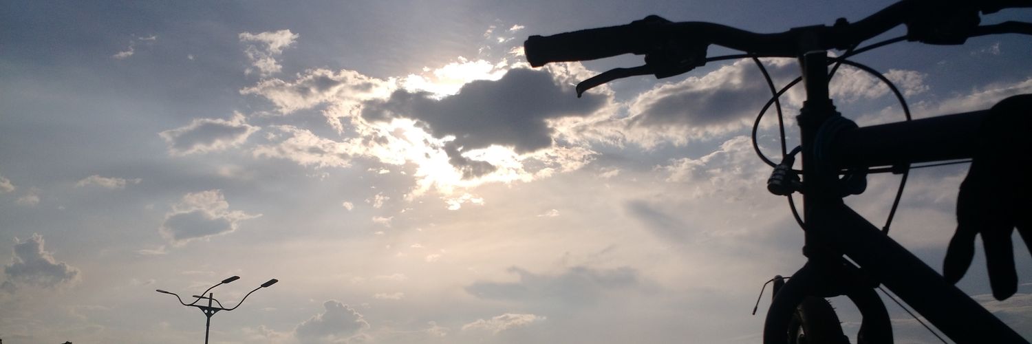 Danilo Rechi banner