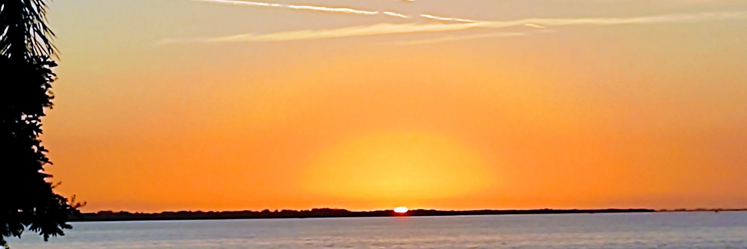 Cindee Cane banner