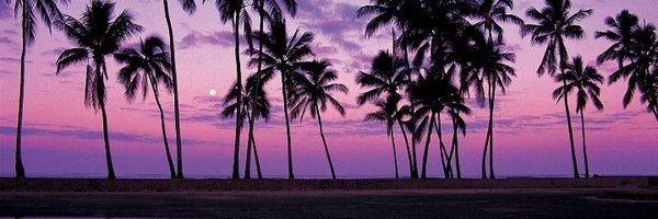 MarcoBritoss's profile banner image