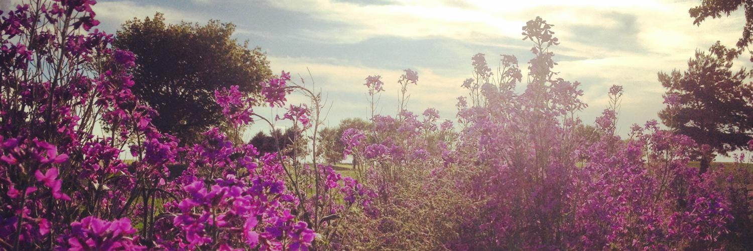 AmandaHigh22's profile banner image